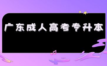 2024年广东成考专升本专业怎么选择？